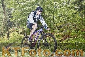 Photo 4247981
