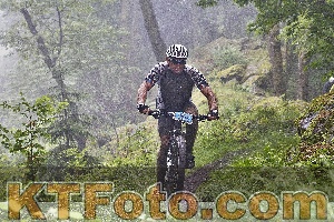 Photo 4248019