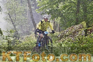 Photo 4248022