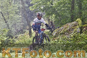 Photo 4248218