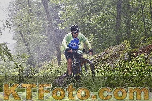 Photo 4248234