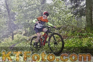 Foto 4248269