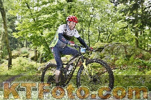Photo 4248418