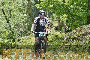 Photo 4248422