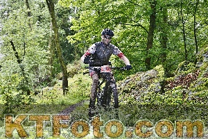 Photo 4248540