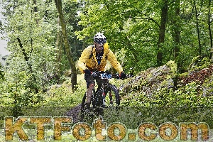 Photo 4248562