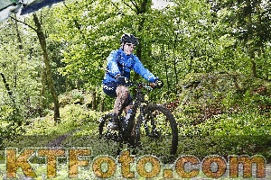 Photo 4248586