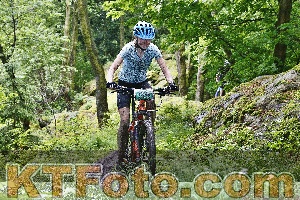 Photo 4248689