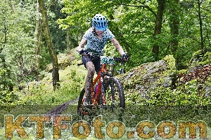 Photo 4248690