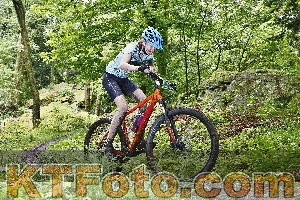 Photo 4248691