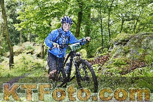 Photo 4248770