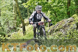 Photo 4248835