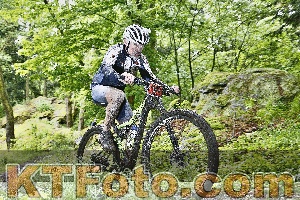 Photo 4248837