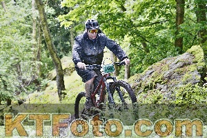 Photo 4248842
