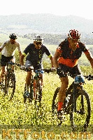 Foto 4411012