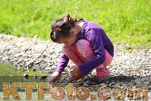 Photo 2325027