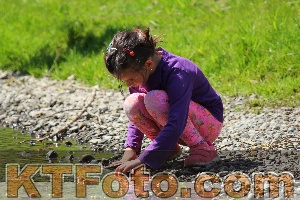Photo 2325028