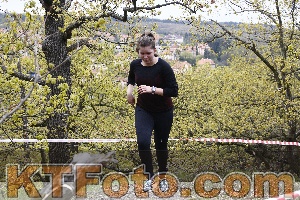 Foto 2798136