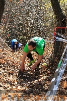 Photo 2645684