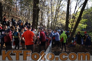 Photo 4191347