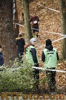 Photo 4173134