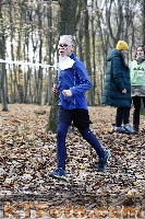Photo 4196279