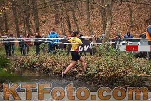 Photo 4182313