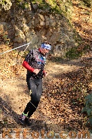 Foto 4185014