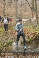 Photo 4271139