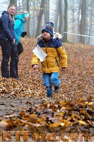 Foto 4297197