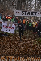 Photo 4289143