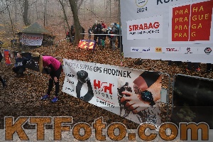 Photo 4289233