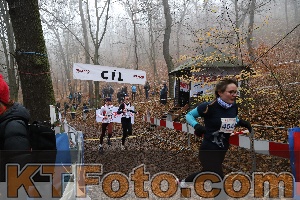 Photo 4289244