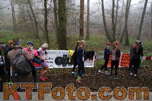 Photo 4289246