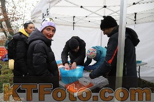 Photo 4289268