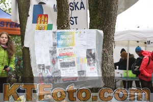 Photo 4289293
