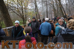 Photo 4289296