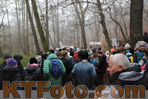 Photo 4289297