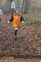 Photo 4291673